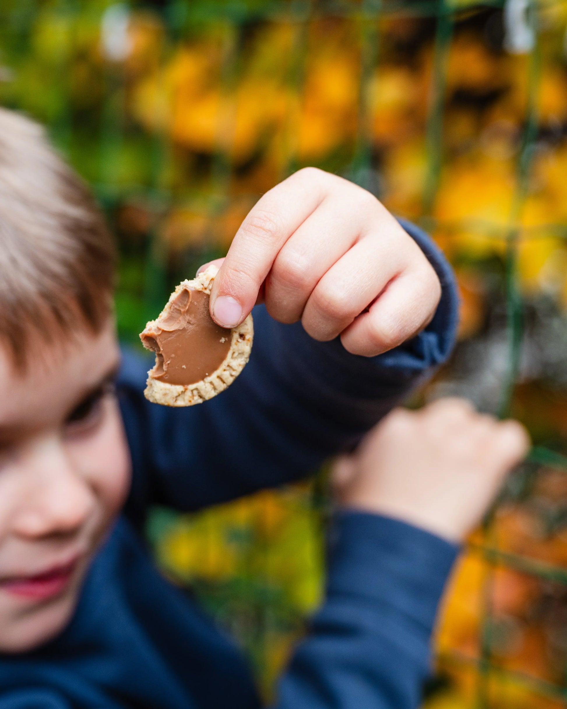 Biscuit tartelette praliné noisette & lait SKILUP biscuit