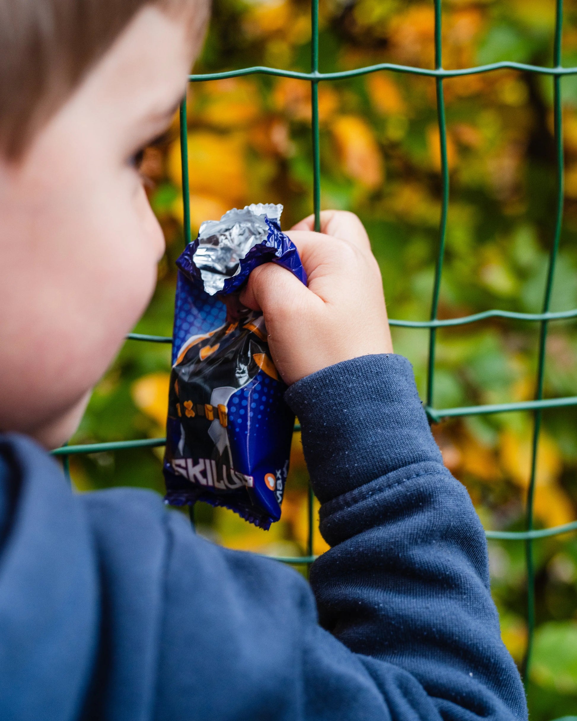 Biscuit tartelette praliné noisette & lait SKILUP biscuit